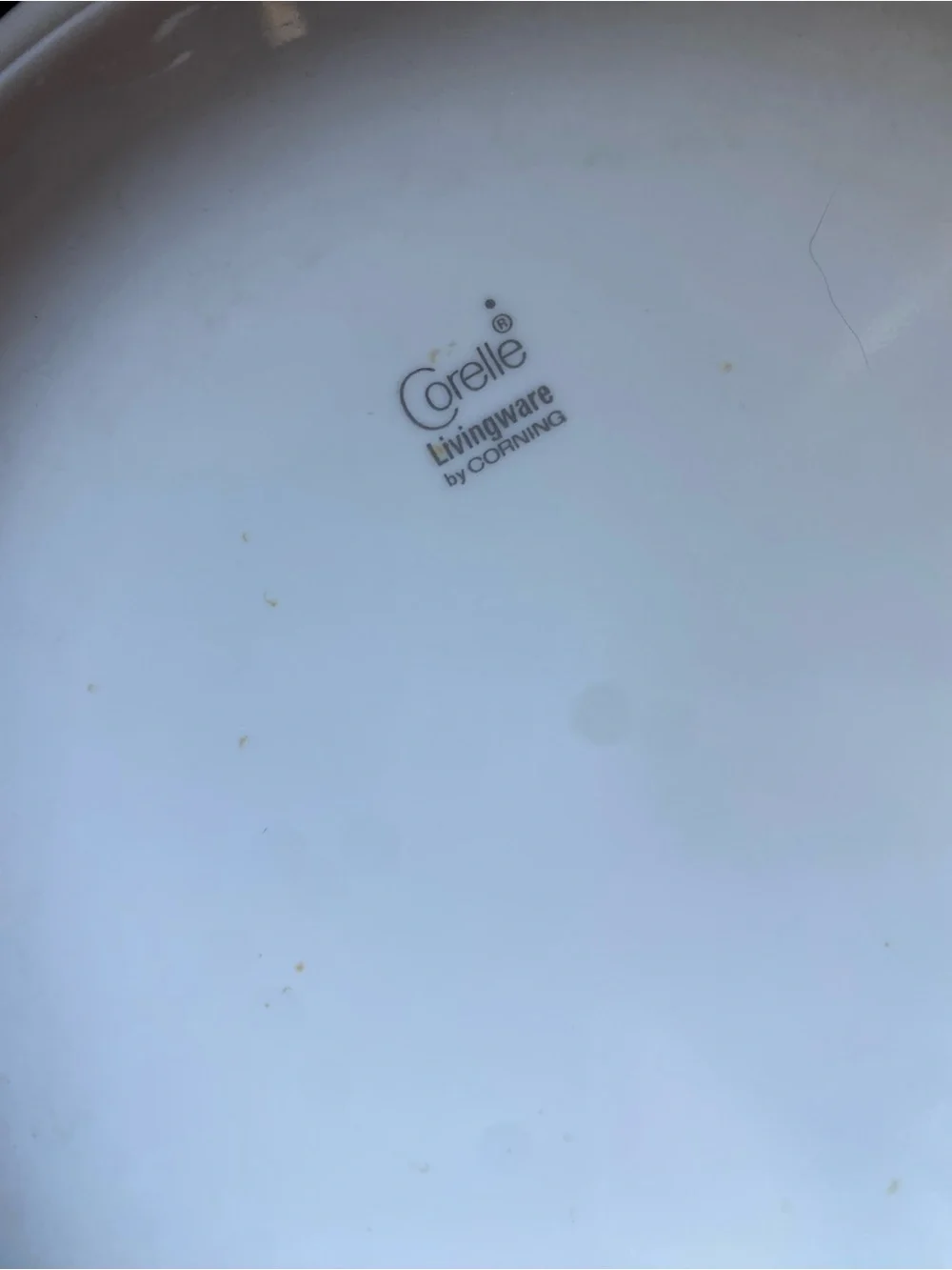 Corelle White Dinner Plates with Gold Butterfly Border - Set of 8